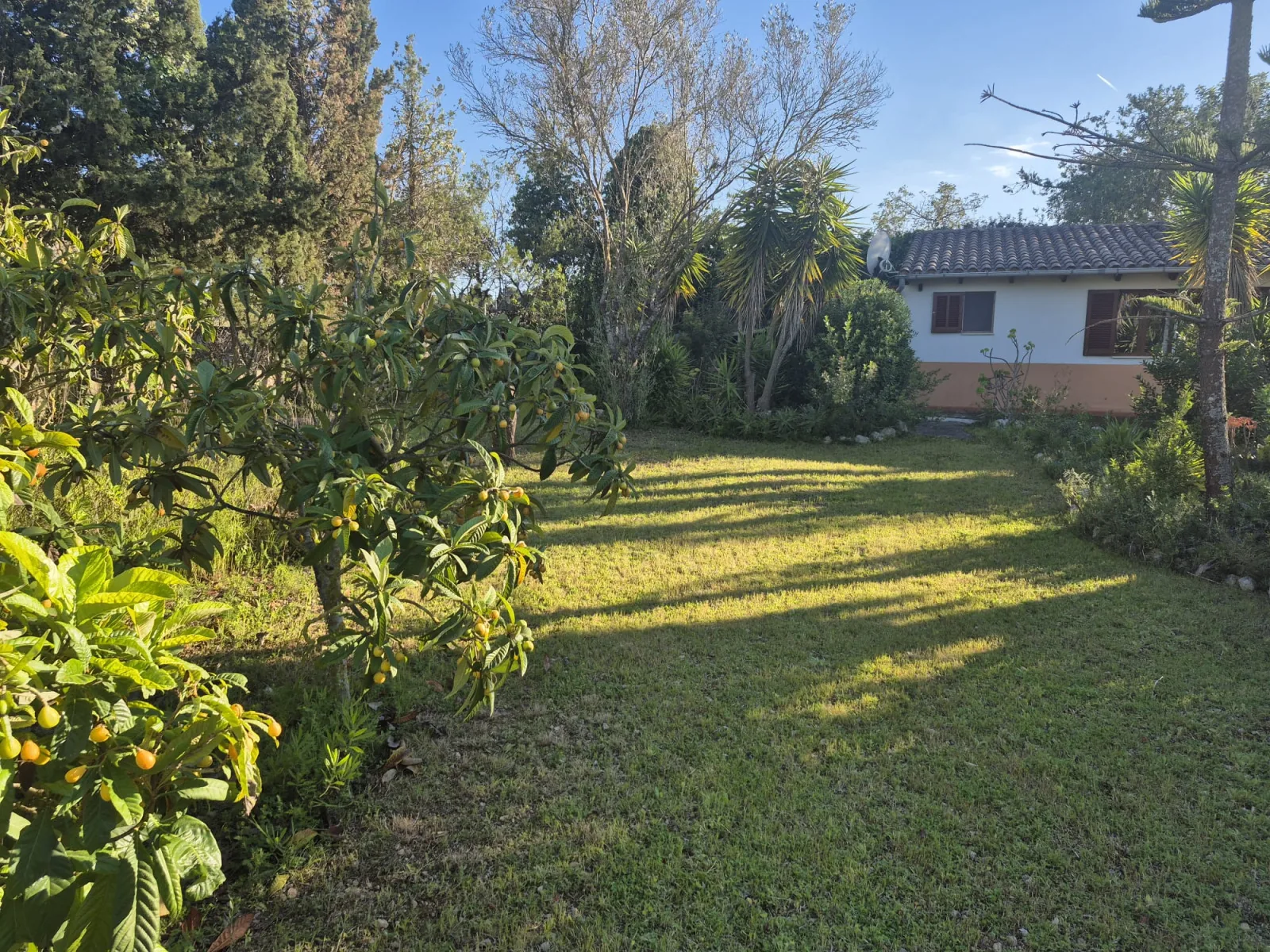 Private Finca-Idylle in Manacor
