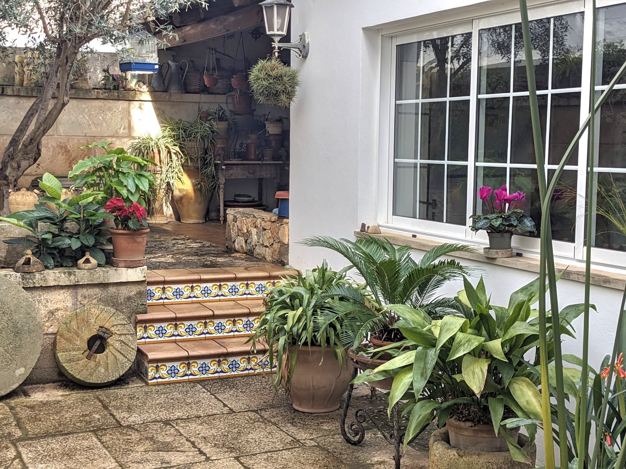 Patio1