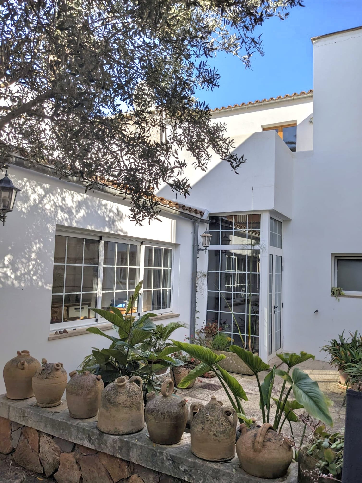 Patio2