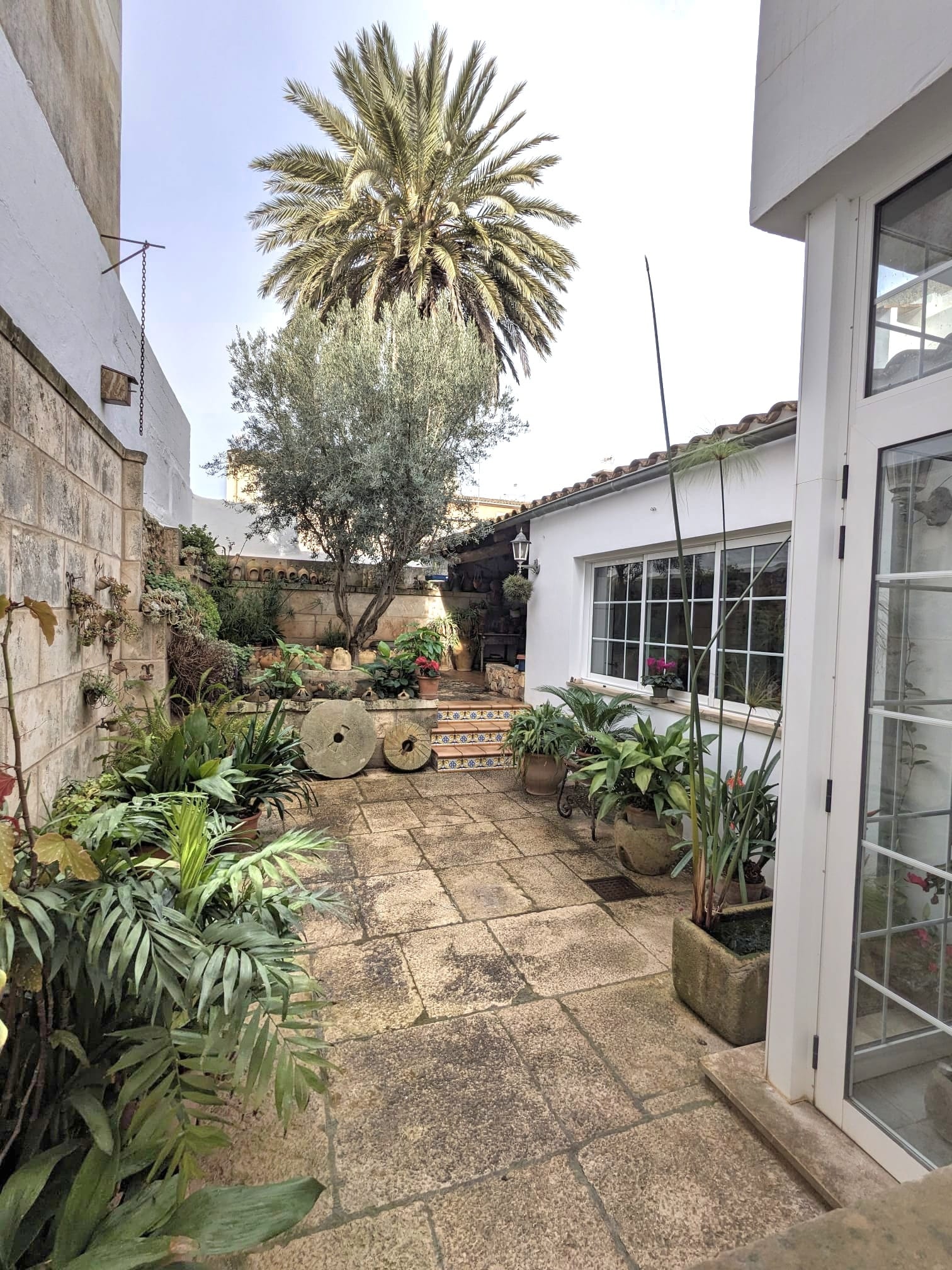 Patio3