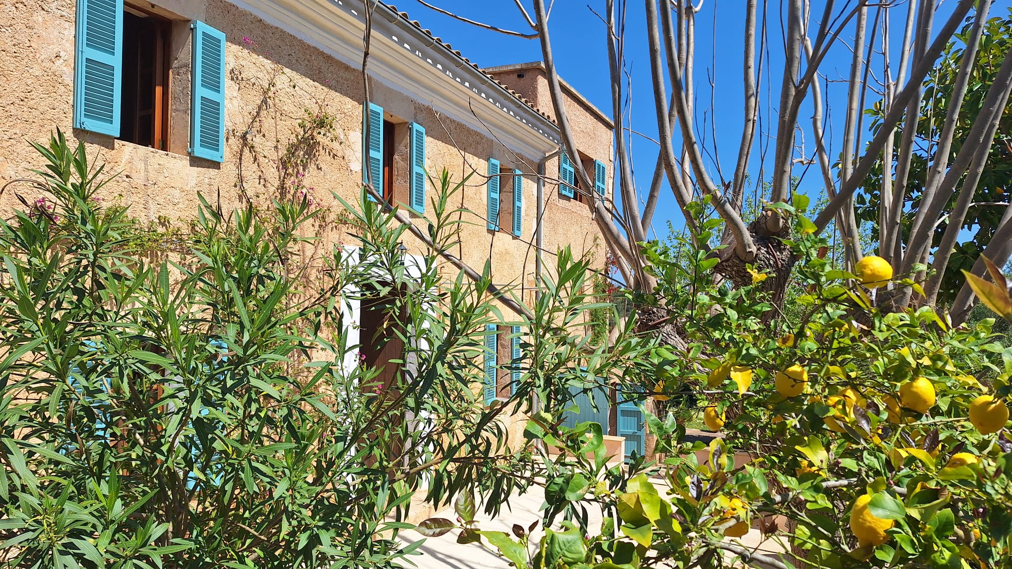 Finca5