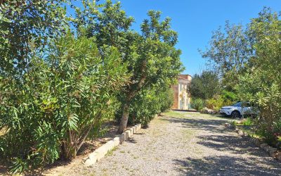 Villa Sa Mola